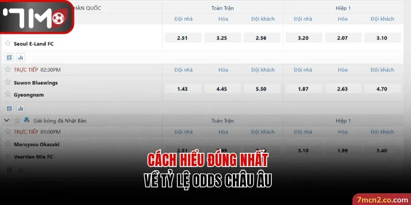 Cách hiểu đúng nhất về tỷ lệ Odds châu Âu