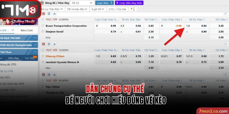 Dẫn chứng cụ thể để người chơi hiểu đúng về kèo