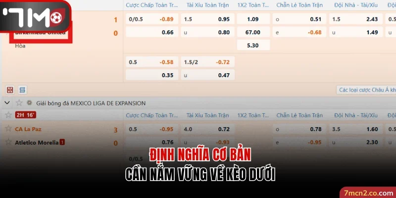 Định nghĩa cơ bản cần nắm vững về kèo dưới