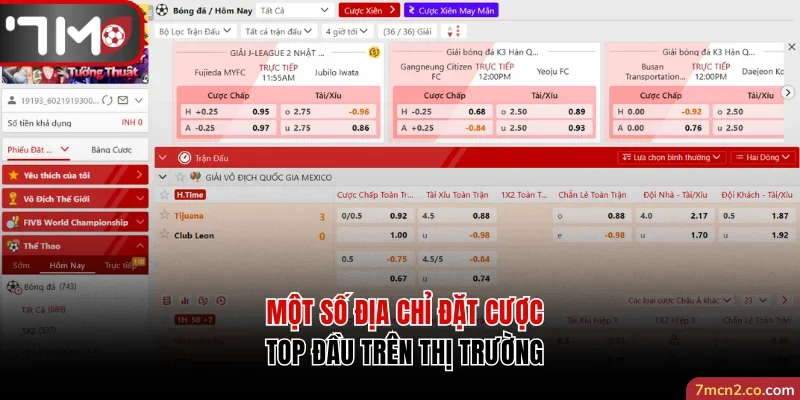 Một số địa chỉ đặt cược top đầu trên thị trường