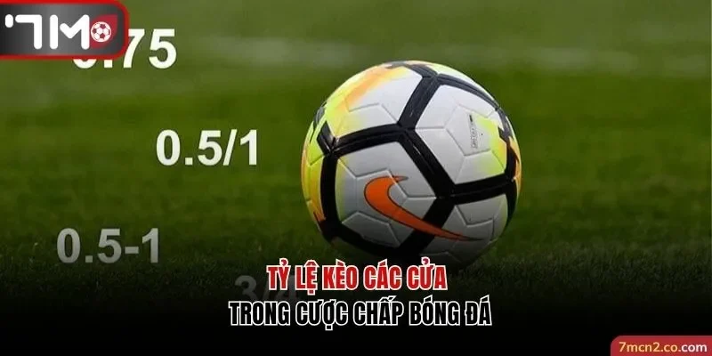 Các loại tỷ lệ kèo nhà cái phổ biến trong cá cược bóng đá