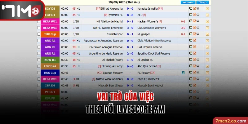 Giới thiệu tổng quan về Livescore 7M